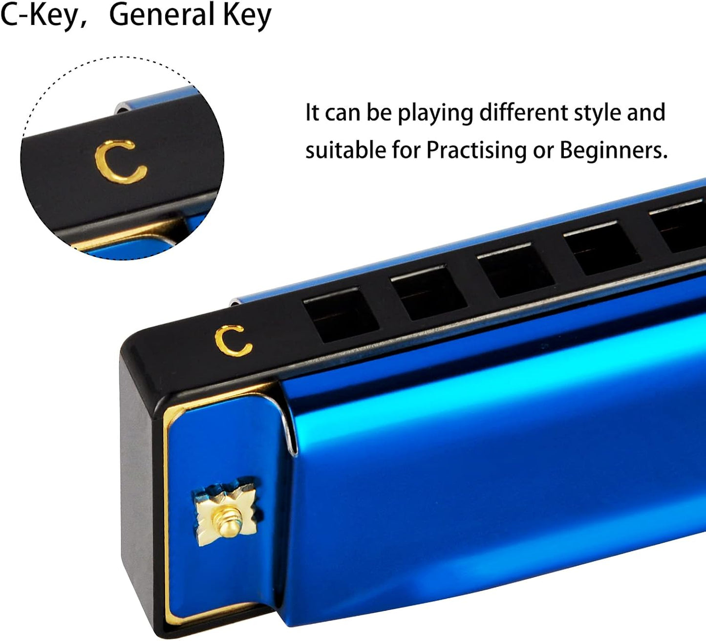 EastRock Blues Harmonica Mouth Organ 10 Hole C Key with Case, Diatonic Harmonica for Professional Player, Beginner, Students gifts, Adult, Friends, Gift Blue