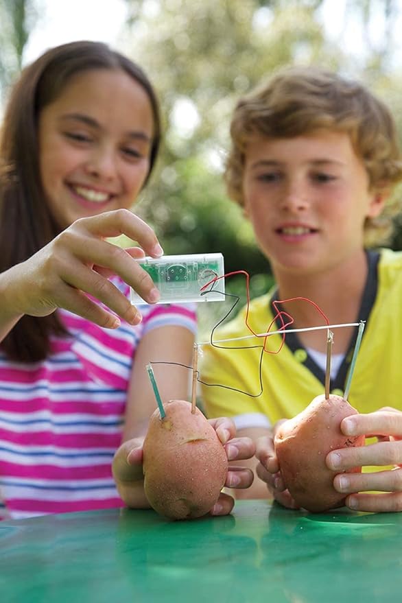 4M Potato Clock DIY Green Science Chemistry Engineering Lab - STEM Toys Educational Gift for Kids & Teens, Girls & Boys, Brown