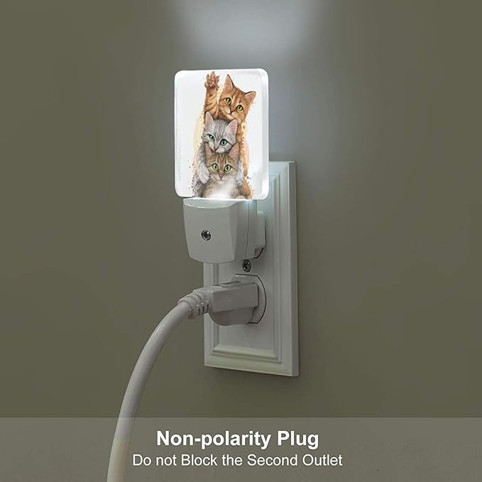 Three Cute Kittens Night Light,Plug Into Wall for Boys Girls Bedroom Decorative Square Night Light Lamp 0.5w Sleep Friendly