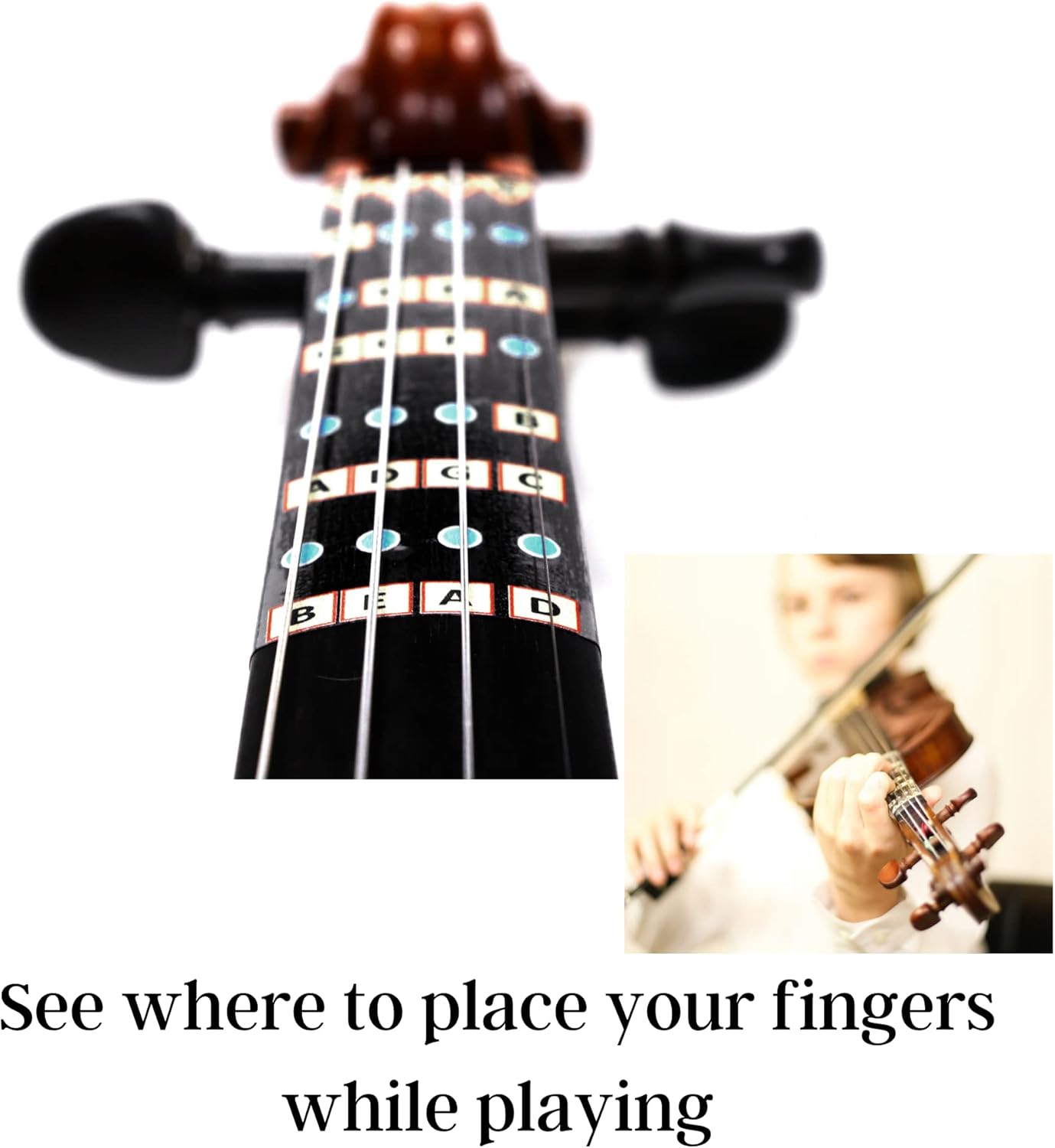 Fantastic Finger Guide for Violins Kids/Adult Beginner | Stringed Musical Instruments | Fingerboard and Fretboard Stickers for Learning All Notes | Play or Fiddle (LH 4/4)