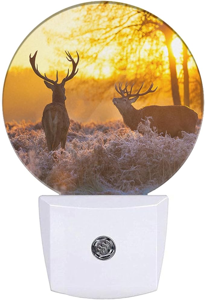 EKOBLA Deer Night Lights Plug into Wall Deer Elk Animals River Creek Autumn Woods Night Light with Dusk to Dawn Sensor LED Lamp for Men Women Boys Girls