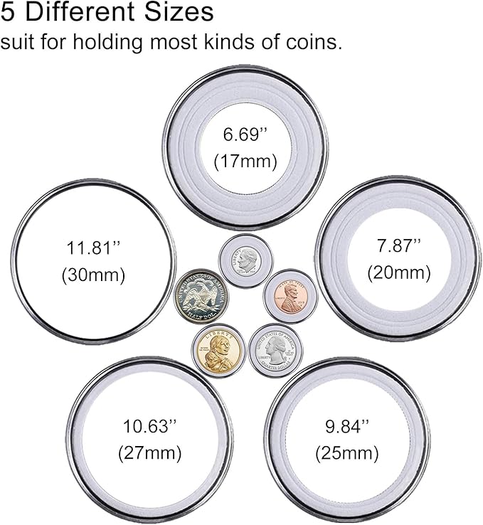 100 Pcs 30mm Coin Capsules Holder with Foam Gasket and Plastic Storage Organizer Box, 5 Sizes (17/20/25/27/30mm) Coins Collector Case Protector for Coin Collection Supplies