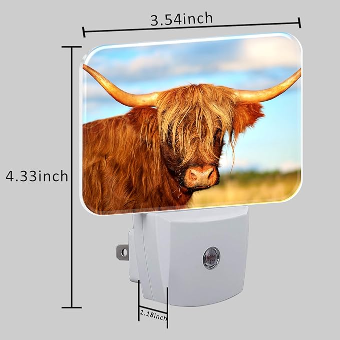 Highland Cow in Field Night Light Plug into Wall, Cool Highland Cow Night Light with Dusk to Dawn Sensor for Kid Girls Boys Women Men Bedroom, Hallway, Kitchen, Bathroom, Stairs Decor