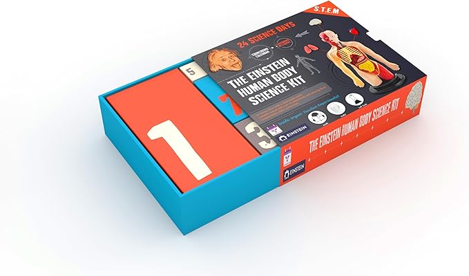 Einstein Human Body Science Kit : unique and original 24 S.T.E.M science experiments & activities all about the human body. Includes 12’ Human Model with 16 detachable organs and a printed guide with directions & facts. plus a daily Video guide.