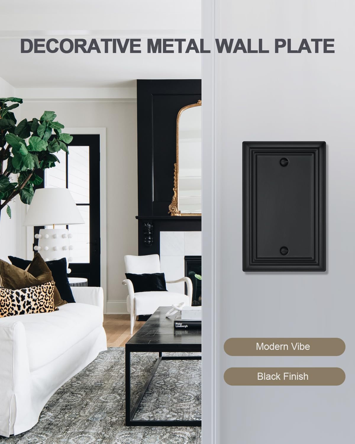 2-Pack Black Blank Wall Plates, No Device Blank Outlet Covers, Metal Electrical Covers for Unused Outlets/Switches, 3.15''*4.88'', Midsize