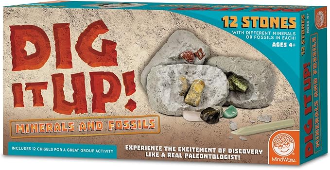 Dig It Up! Fossils & Minerals