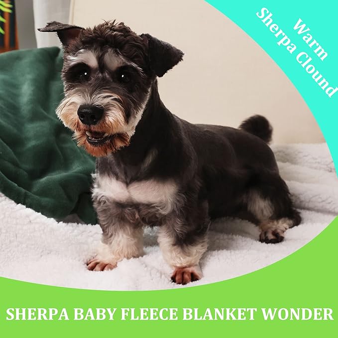 NANPIPER Baby Sherpa Blanket,Warm Toddler Throw Blanket,Soft Newborn Fleece Blanket for Winter (Olive Green,30x40 inches)