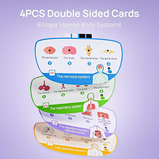 Science Can Human Body Model for Kids, Interactive Human Anatomy Talking Model - 11 Inch Realistic Anatomical Assembly Kit, 15PCS Removable Parts & Guide, Educational STEM Toys Gifts for Kids Aged 6+