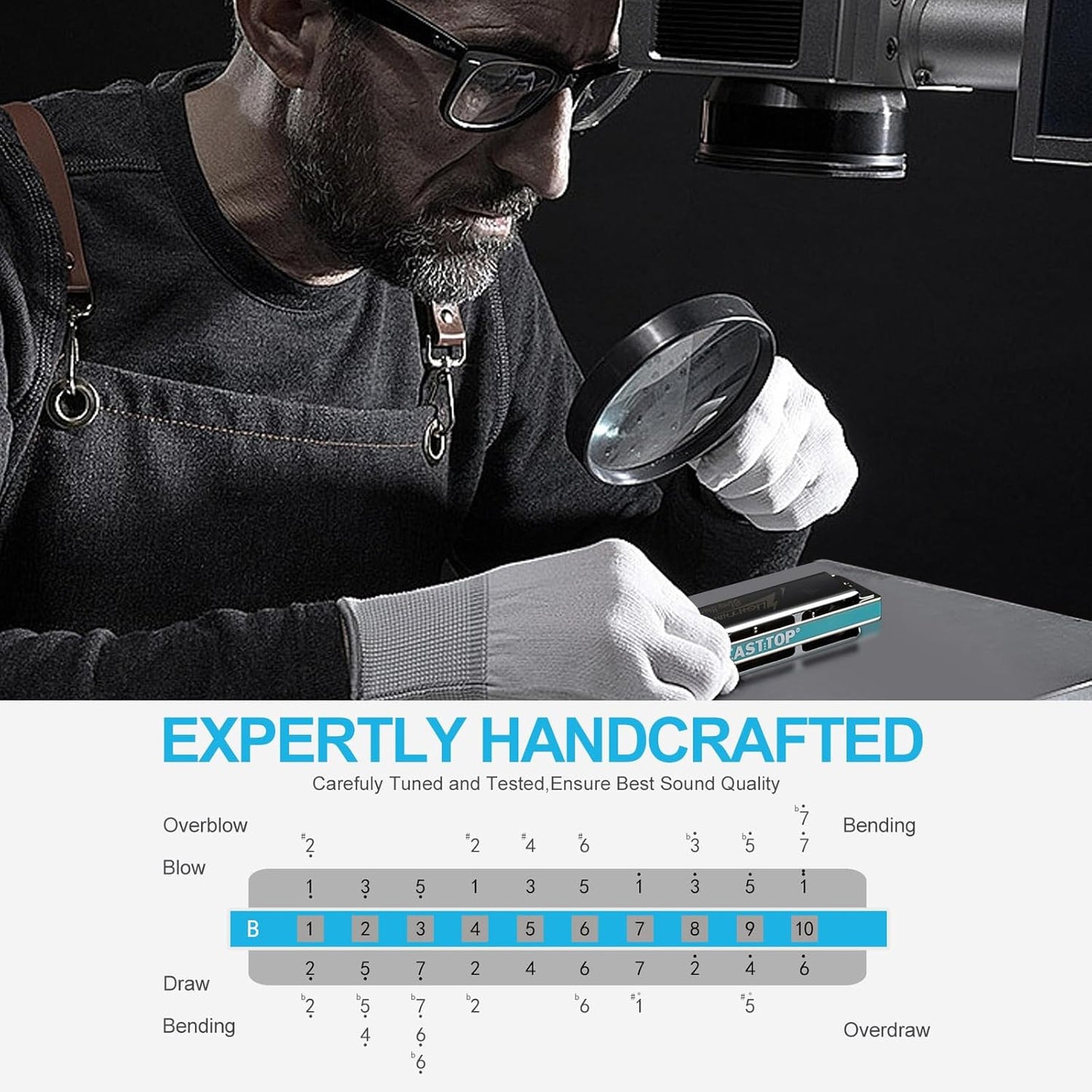 East top 10 Hole Professional Diatonic Harmonica, Key of B, Blues Harp Mouth Organ, ABS Plastic, Silver Cover, Phosphor Bronze Reeds