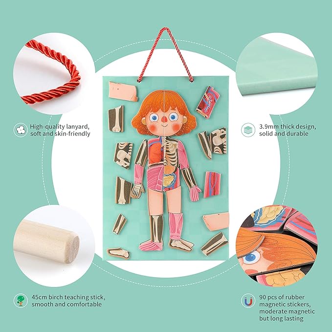 Human Body Puzzle for Kids Toddlers 90PCS Magnetic Boy Girl Anatomy Play Set Body Parts Organs Muscles Skeleton and Bones Wooden Puzzle Toys Aged 3+ Educational Learning Preschool Toys