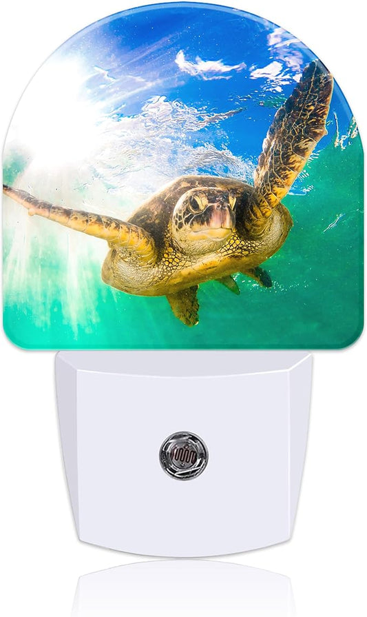 Night Light Plug into Wall Cute Sea Turtle Night Light with Dusk to Dawn Sensor for Kid Girls Boys Women Men Room Decor, Hallway, Kitchen, Bathroom, Nursery, Stairs