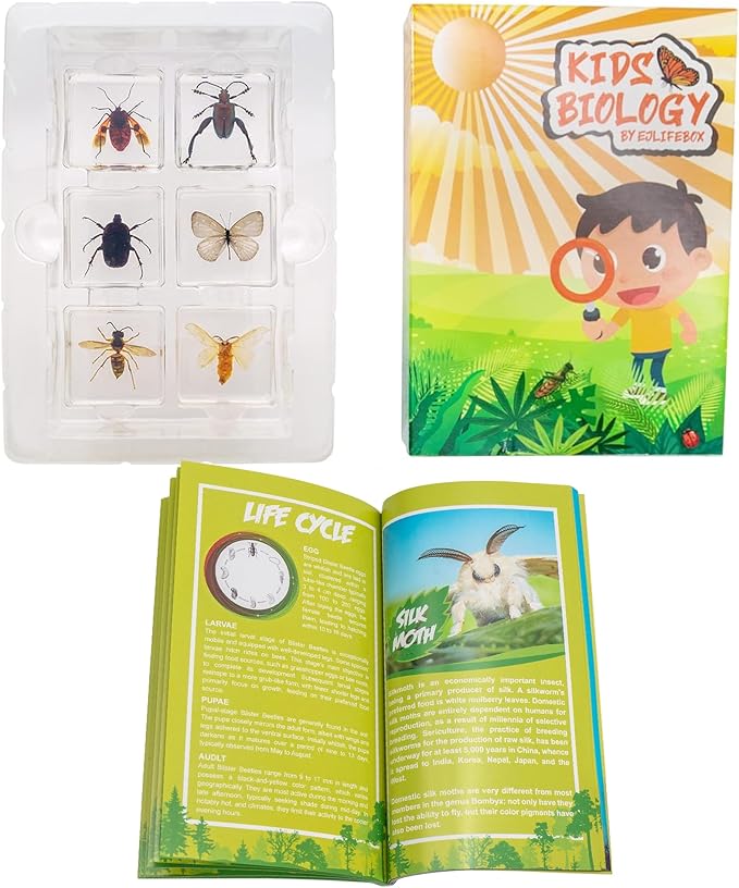 6 PCS Resin Insect Specimen Set, Butterfly, Jewel Frog Beetle, Silk Moth, Chafer, Stinkbug, Wasp, Science Education Toy for Kids