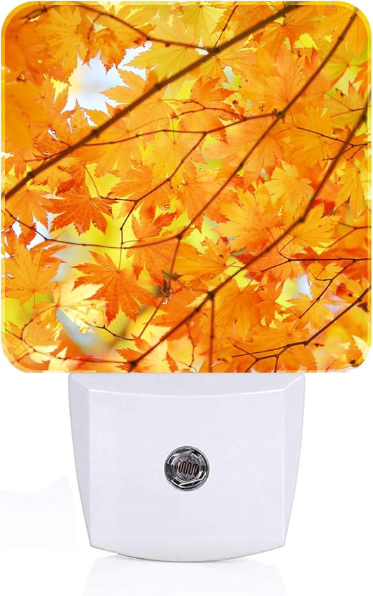 Autumn Maple Leaves Night Light,Plug Into Wall with Dusk to Dawn Light Sensors, Warm Nightlights for Bedroom, Bathroom, Hallway, Kitchen, Gifts Ideal for Boys Girls Women Men