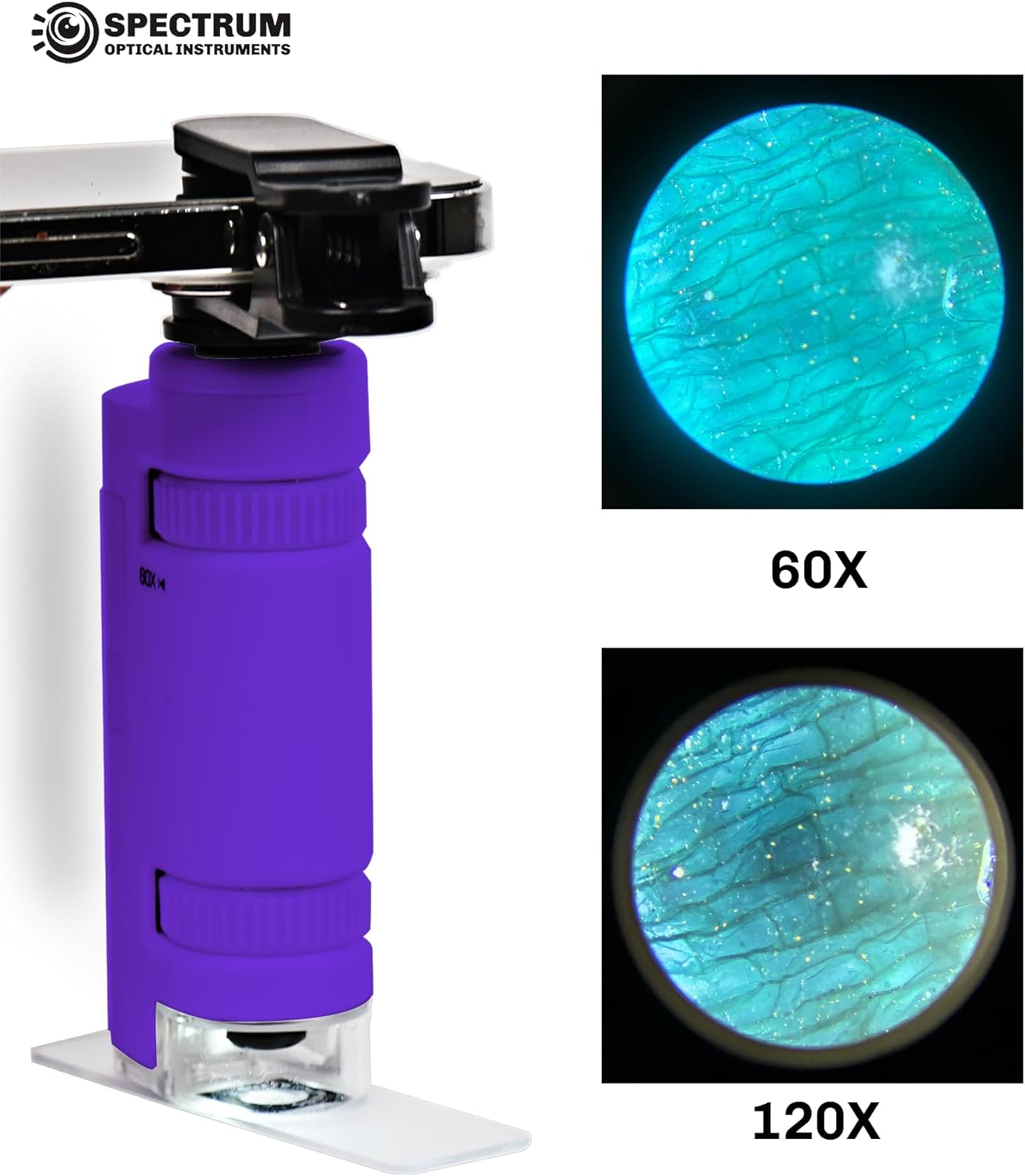 EasyMicro LED Lighted Pocket Microscope 60-120X Magnification Purple Color