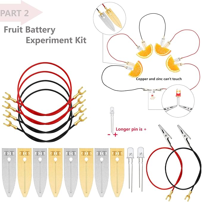 Delinx STEM Science Kit, Magnets Learning,Basic Circuit Learning,Fruit Battery Experiment,Green Alternative Energy Lab Kits, Physic Electricity Educational Project for Kids & Teens,Girls & Boys
