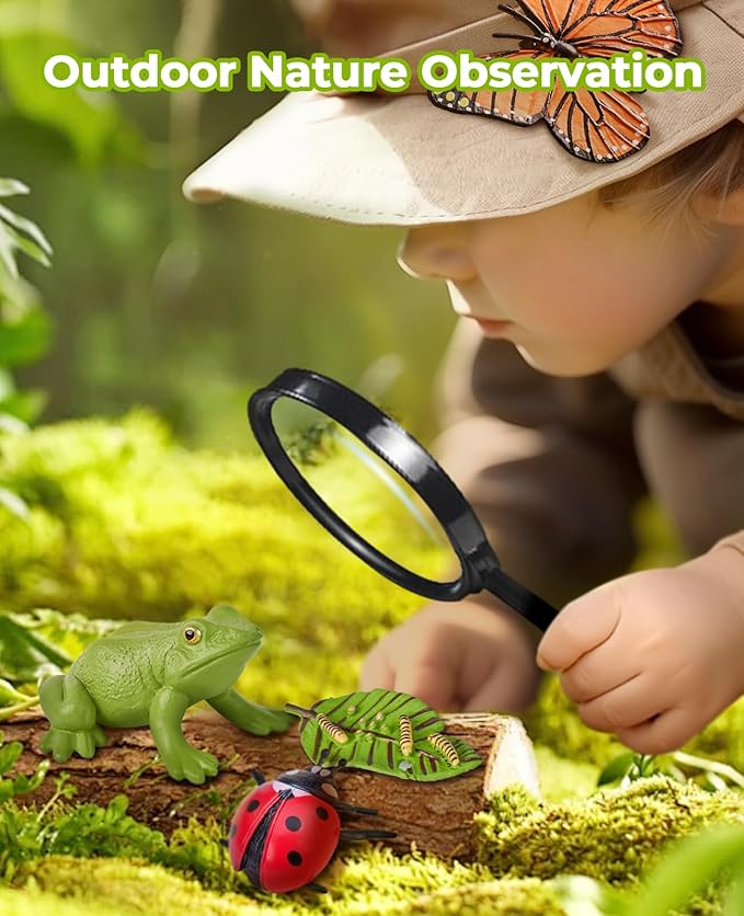 JoyCat Life Cycle Learning Education Toys, Insect Caterpillar to Butterfly kit, Ladybug, Bee, Tadpole to Frog Kit Life Cycle Toys for Kids, Preschool Learning Activities for Age 3 4 5 6 7 8