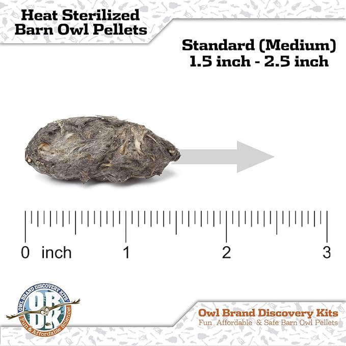 OBDK Barn Owl Pellets for Dissection - 10 Pack Medium Sized (1.5"-2.0") with Tools, Guide and Charts from Owl Brand Discovery Kits