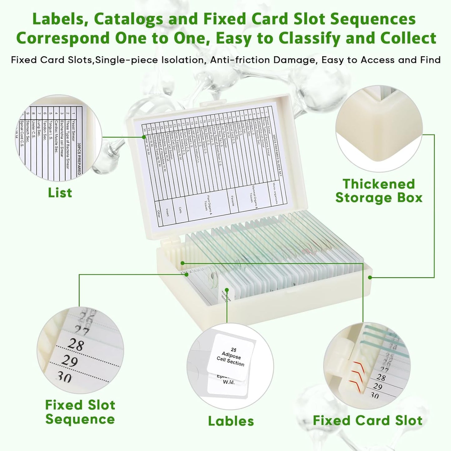 30 Microscope Slides with Specimens,Prepared Microscope Slides for Kids,Glass Slides for Microscope,Prepared Slides for Kids Microscope,Microscope Slide Preparation Kit for Biology Science Classes