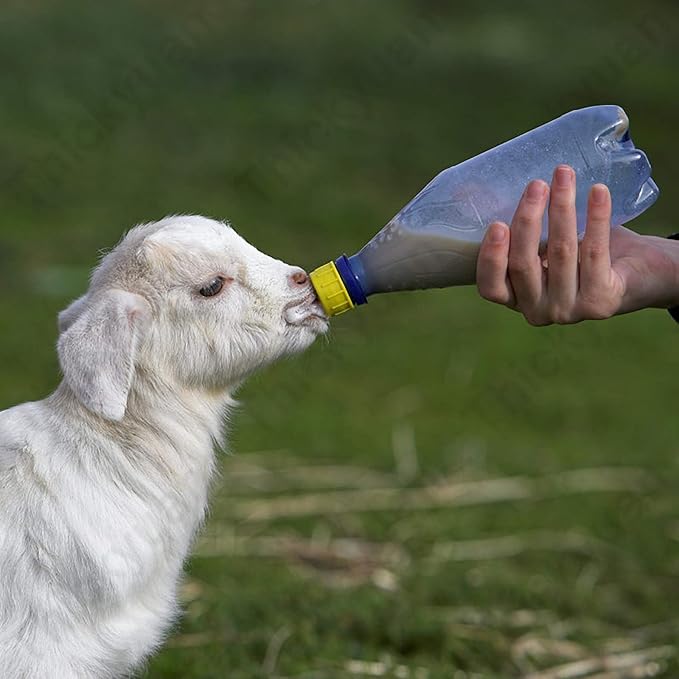 Pritchard Nipples for Nursing Lambs and Goat Kids,10-Pcs