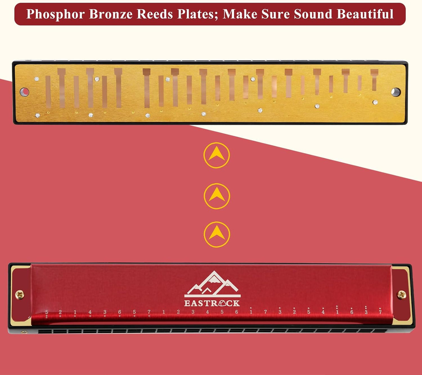 EastRock Blues Harmonica 24 Hole C Key with Case, Mouth Organ Harp, Diatonic Harmonica for Beginner（Red)