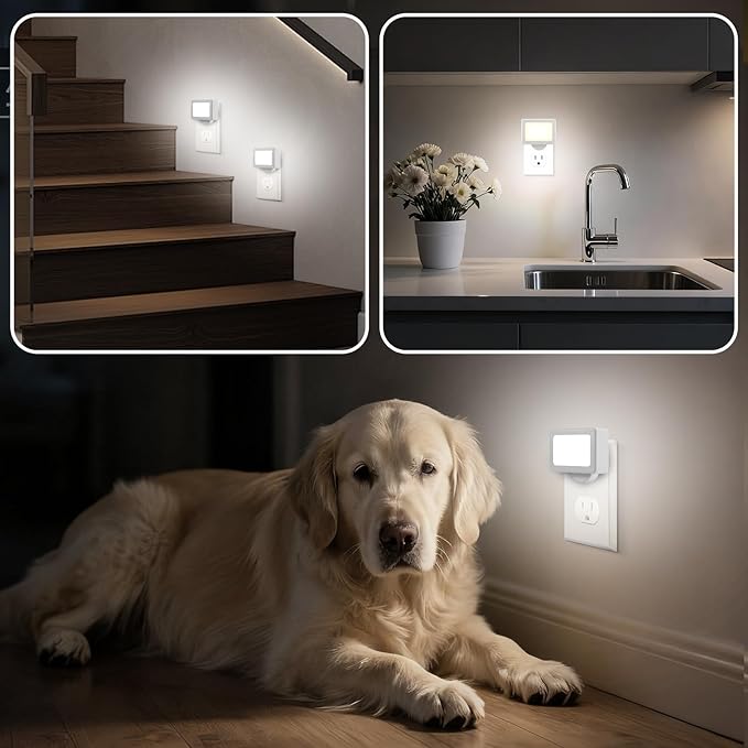 4-Pack LED Night Light Plug in with Adjustable 180° Swivel Head, Dusk to Dawn Auto On/Off, Daylight 5000K 100LM, for Kitchen Counter, Desk, Staircase, Hallway, BathroomNon-Dimmable