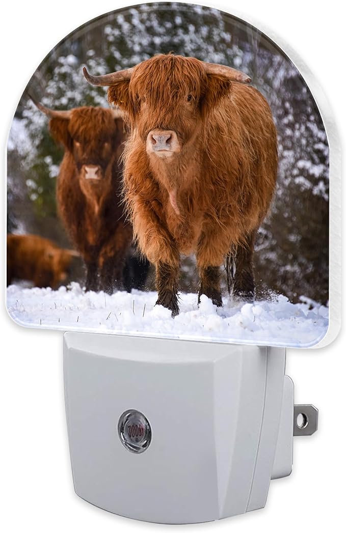 Highland Cow Night Light for Kids, Winter Wild Animals Night Light Plug in with Dusk to Dawn Sensor, 0.5w Energy Saving Sleep Friendly Nightlight for Hallway Stairway Kitchen Bedroom