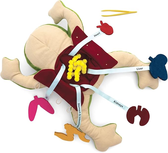 KiwiCo Froggie Lab Dissection Plush Toy - Anatomy Learning Toy for Ages 3 and Up