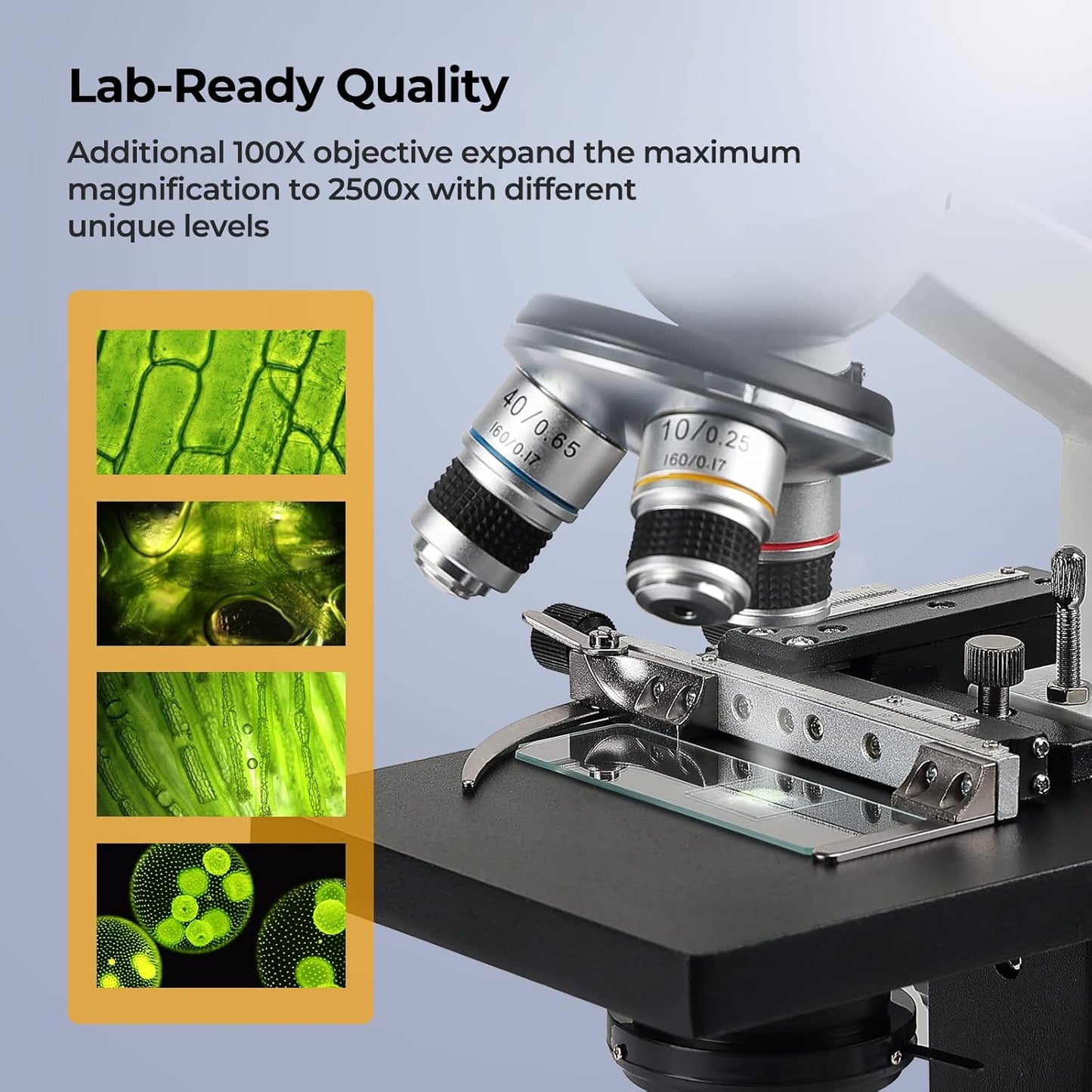 Constant Temperature Lab Monocular Compound Microscope 40X-2500X Magnification with 7" LCD Screen 5MP E-Eyepiece, Adjustable Thermostat Mechanical Stage for Husbandry, Pet Hospitals,Farms