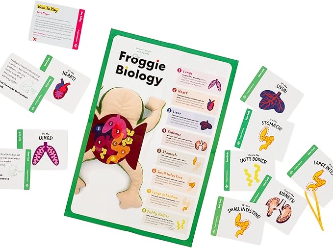 KiwiCo Froggie Lab Dissection Plush Toy - Anatomy Learning Toy for Ages 3 and Up