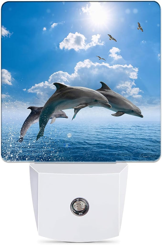Dolphins Seagulls Night Light, Marine Wildlife Night Lights Plug into Wall Decor for Bedroom, Bathroom, Dusk to Dawn Sensor Nightlights for Girls Women Room Gifts