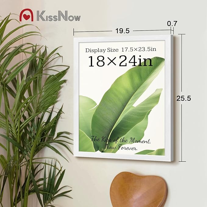 18x24 Poster Frame 2 Pack, White Solid Wood Picture Frame with Polished Plexiglass, Wall Hanging