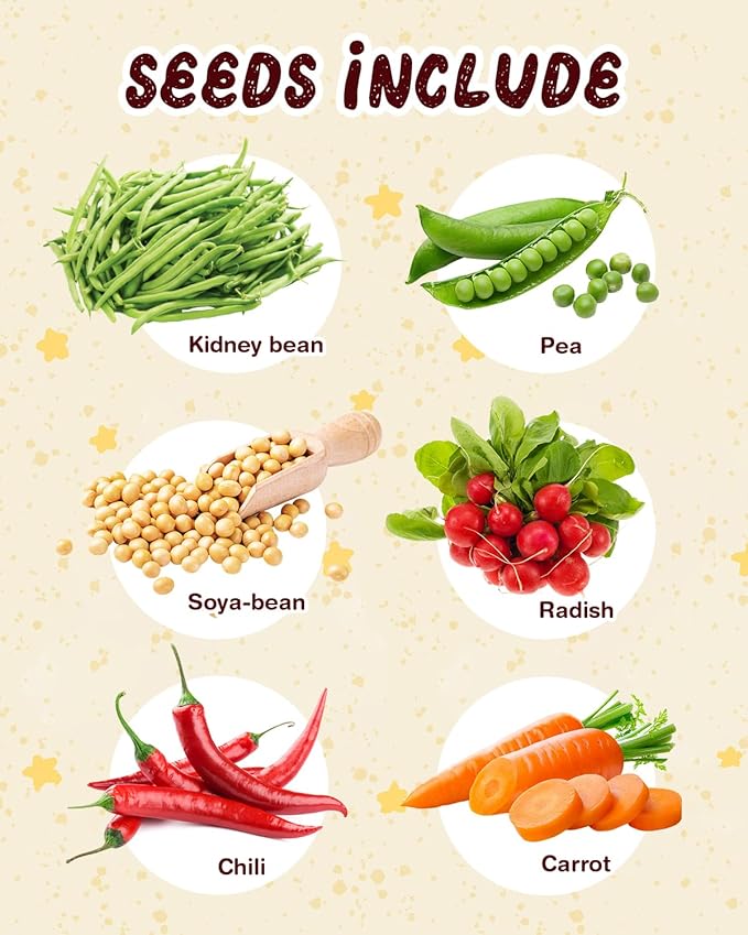 Root Viewer Kit for Kids with 6 Seed Varieties - STEM Science Kits for Kids Age 5-7, 8-12 | Perfect Christmas, Easter, Birthday Gift & School Gardening Project | Learning Educational Gardening Toys