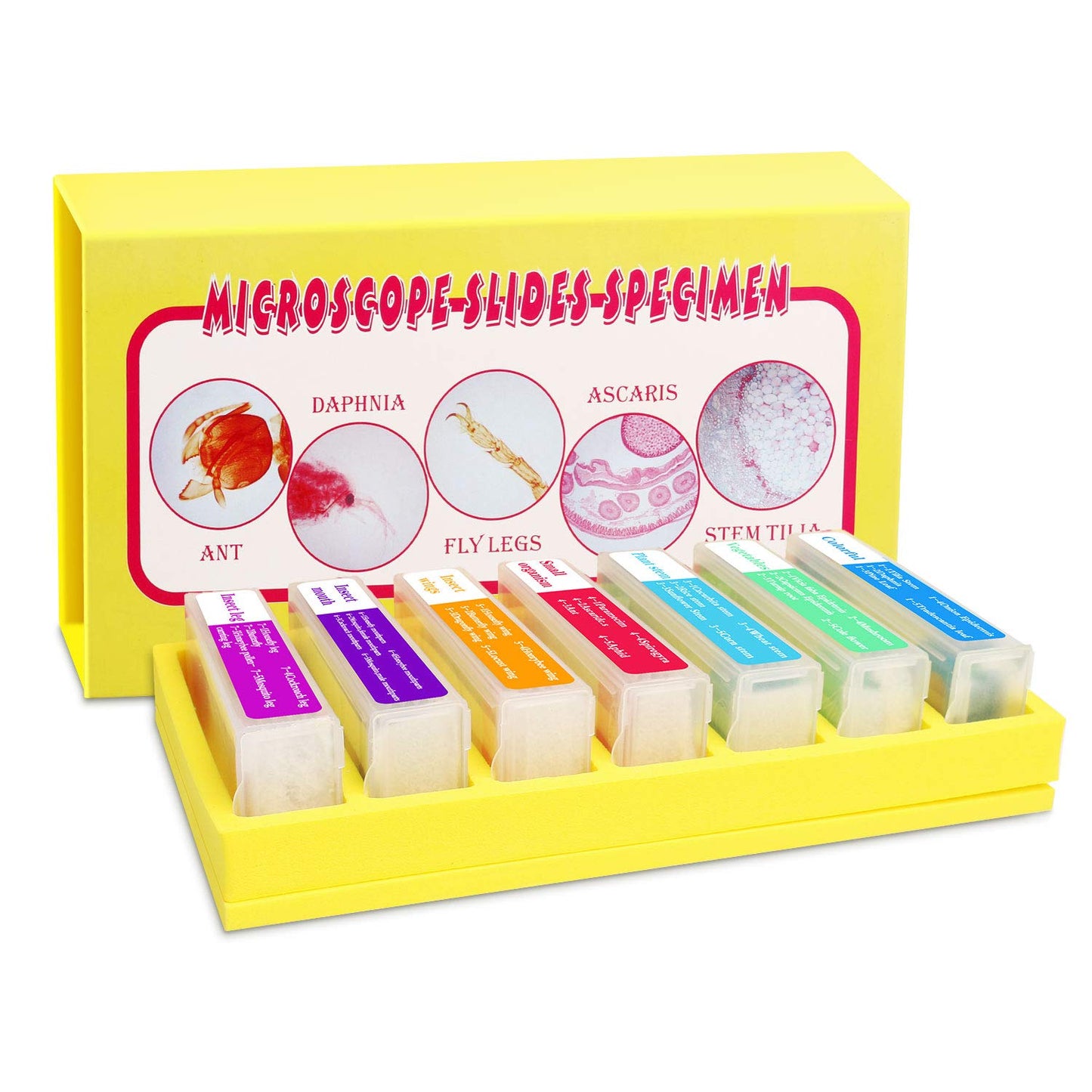 35PCS Prepared Microscope Slides with 7 Types Specimens, Insect/Plant Glass Sample Slide for Kids Adults Family Preschool Education Scientific Enlightenment