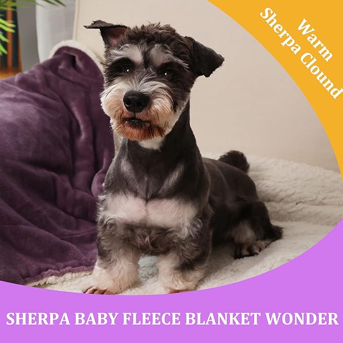 NANPIPER Baby Sherpa Blanket,Warm Toddler Throw Blanket,Soft Newborn Fleece Blanket for Winter (Cassis Purple,30x40 inches)