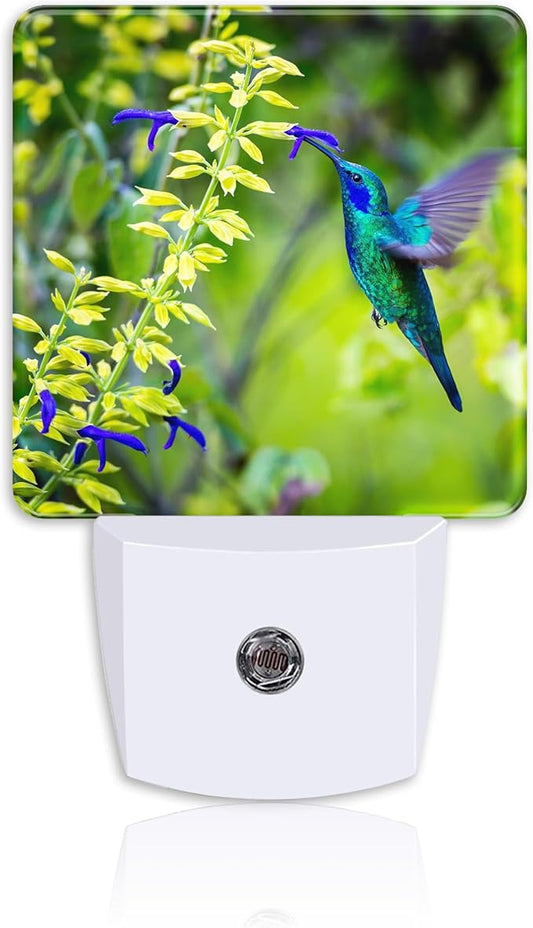 Green Violet Ear Hummingbird Night Light,Nature Salvia Mexicana Plug-in Night Light Auto Dusk-to-Dawn Sensor Energy Efficient LED Lamp for Room Decor,Hallway,Kitchen,Bathroom,Nursery,Stairs