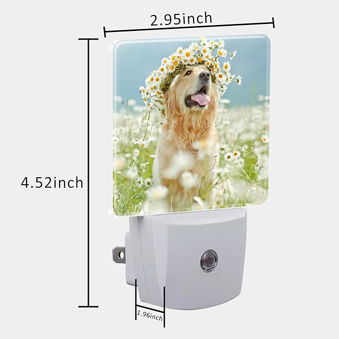 Plug in Night Lights Golden Retriever with Daisy Wreath Night Light with Dusk to Dawn Sensor Night Light for Kid Girls Boys Women Men Room Decor, Hallway, Kitchen, Bathroom, Nursery, Stairs