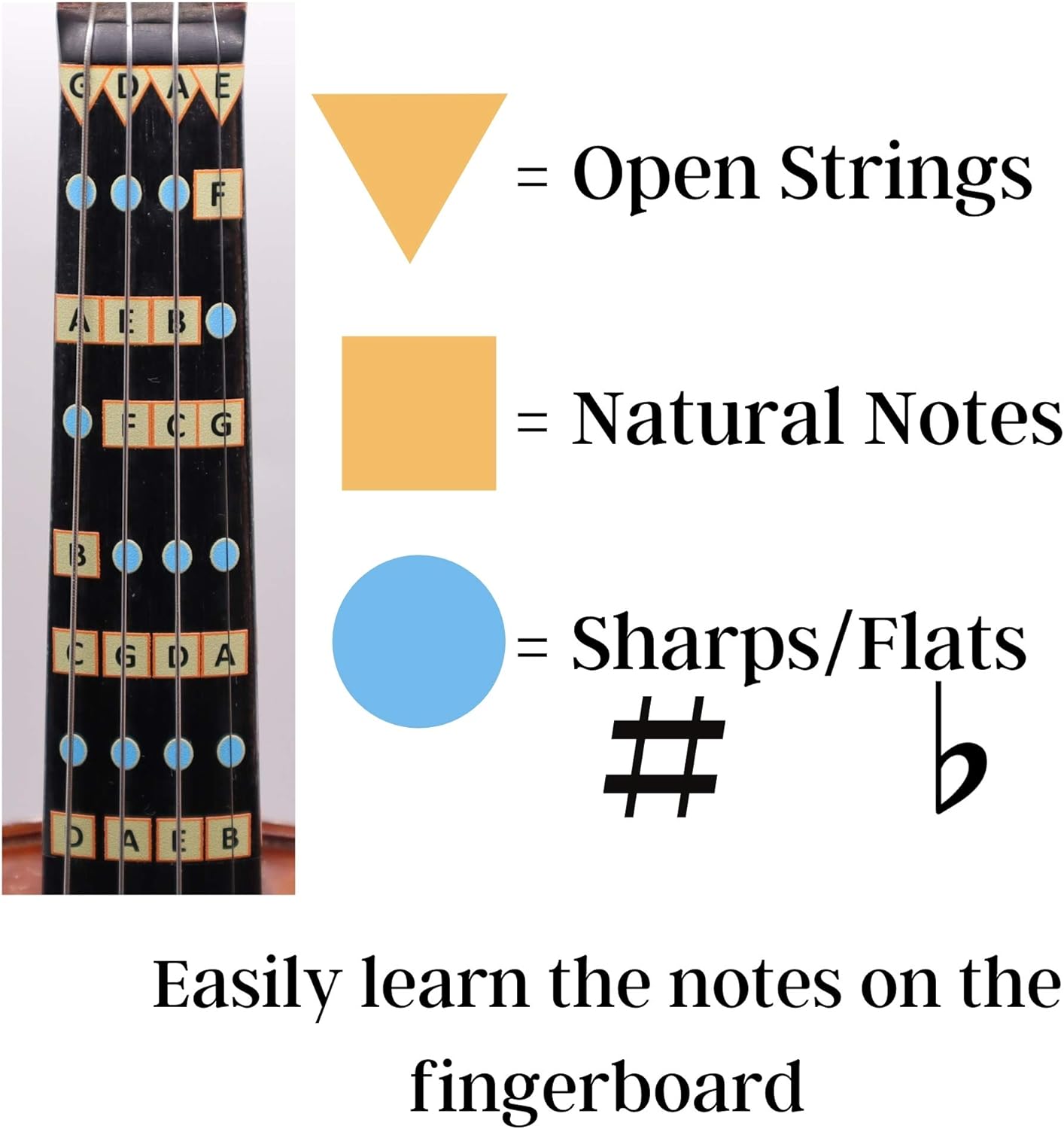 Fantastic Finger Guide for Violins Kids/Adult Beginner | Stringed Musical Instruments | Fingerboard and Fretboard Stickers for Learning All Notes | Play or Fiddle (1/4)