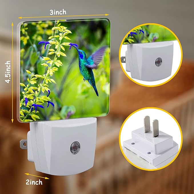 Green Violet Ear Hummingbird Night Light,Nature Salvia Mexicana Plug-in Night Light Auto Dusk-to-Dawn Sensor Energy Efficient LED Lamp for Room Decor,Hallway,Kitchen,Bathroom,Nursery,Stairs