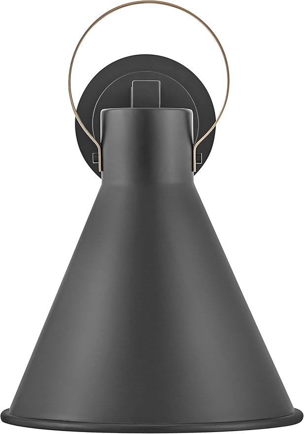 Hinkley Winnie Medium Wall Mount Outdoor Lantern - Coastal Elements, Dark Sky, 1-Light, Tapered Design, Bulb Included, Composite Material - Museum Black with Brass Accents