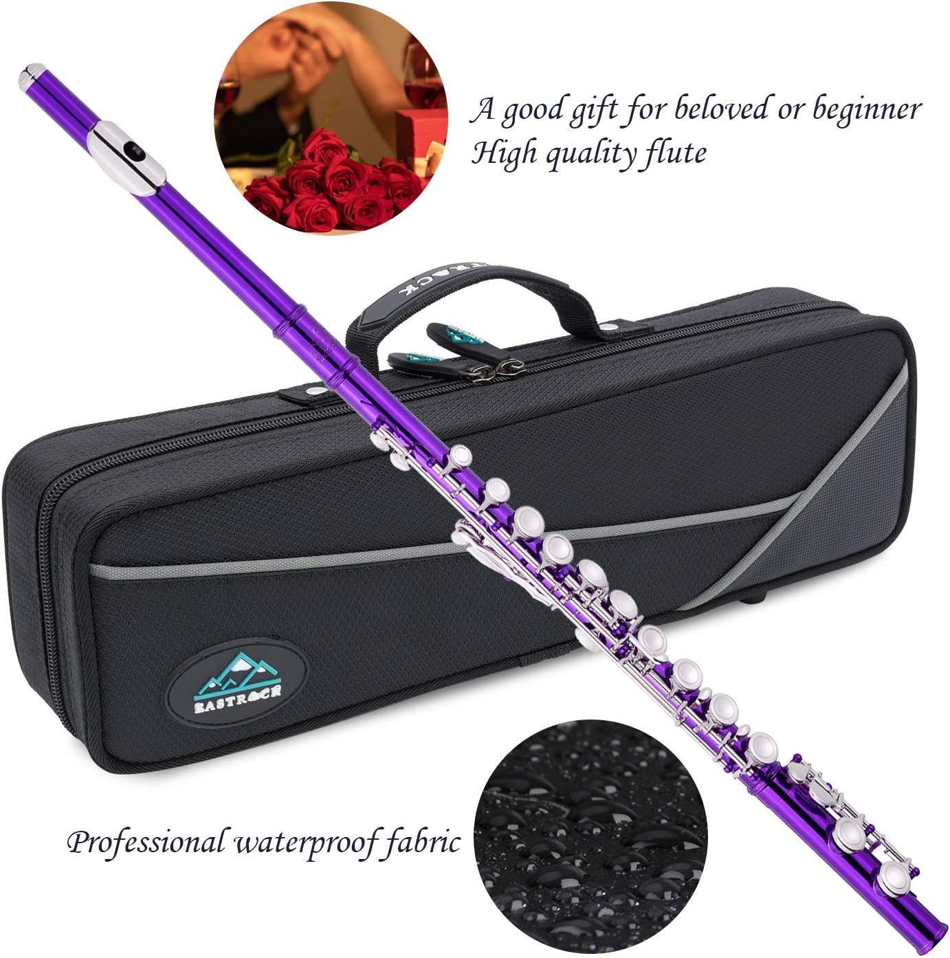 EASTROCK Closed Hole Flutes C 16 Key for Beginner, Kids, Student -Nickel Flute with Case Stand and Cleaning kit (Purple)