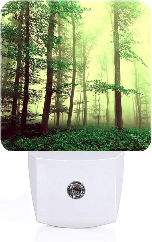Misty Forest Night Light,Plug-in Nightlights Auto Sensor Night Lamp Dusk to Dawn Lamp Home Decor for Nursery Children Girls Boys