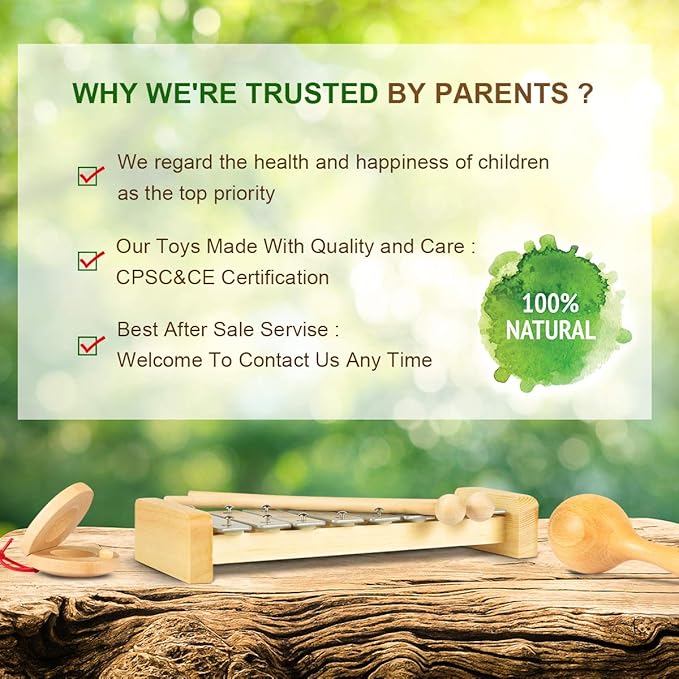 LOOIKOOS Toddler Musical Instruments, Eco Friendly Music Set for Kids Preschool Educational, Natural Wooden Percussion Instruments Musical Toys for Boys and Girls with Storage Bag