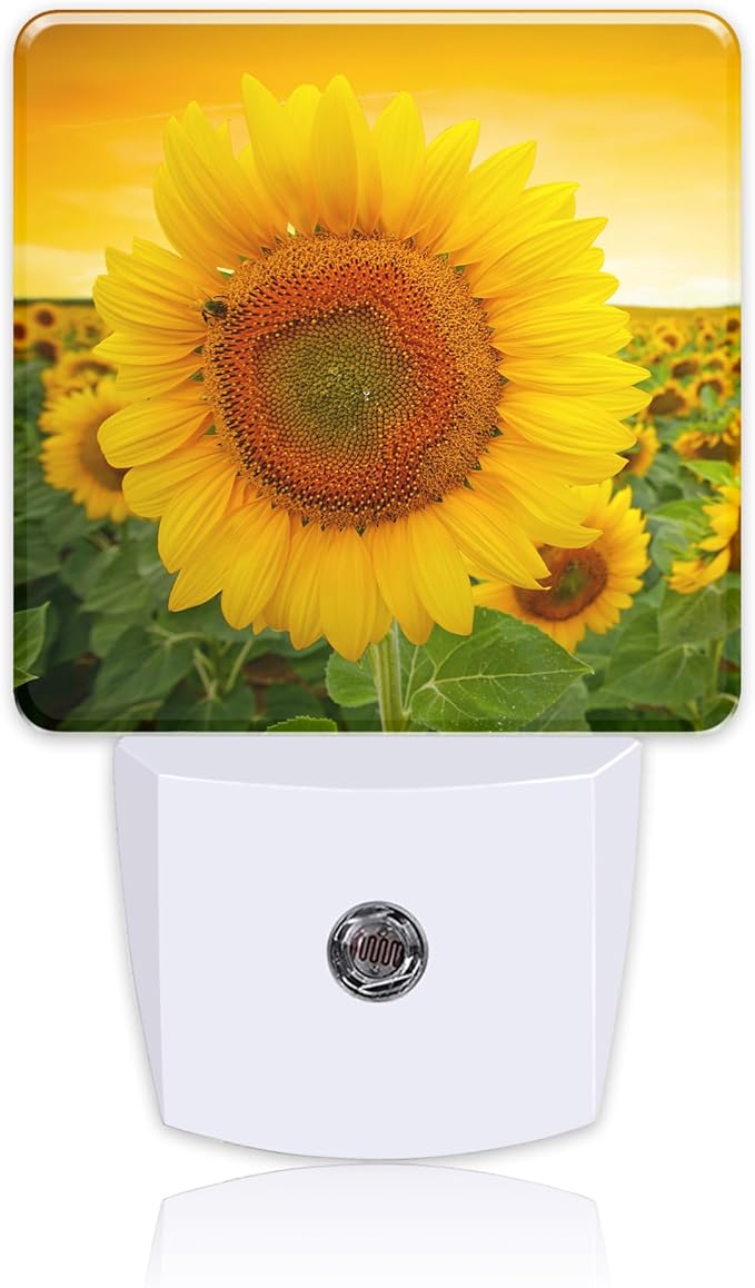 Plug in Night Lights Sunset Sunflower Field Nightlight Plug Into Wall Dusk to Dawn Sensor LED Night Light for Kid Girls Boys Women Men Room Decor, Hallway, Kitchen, Bathroom, Nursery, Stairs
