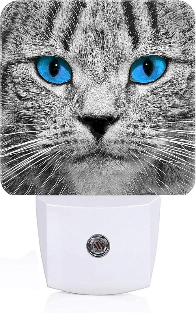 Blue Eyes Cat Night Light,Plug Into Wall with Dusk to Dawn Light Sensors, Warm Nightlights for Bedroom, Bathroom, Hallway, Kitchen, Gifts Ideal for Boys Girls Women Men