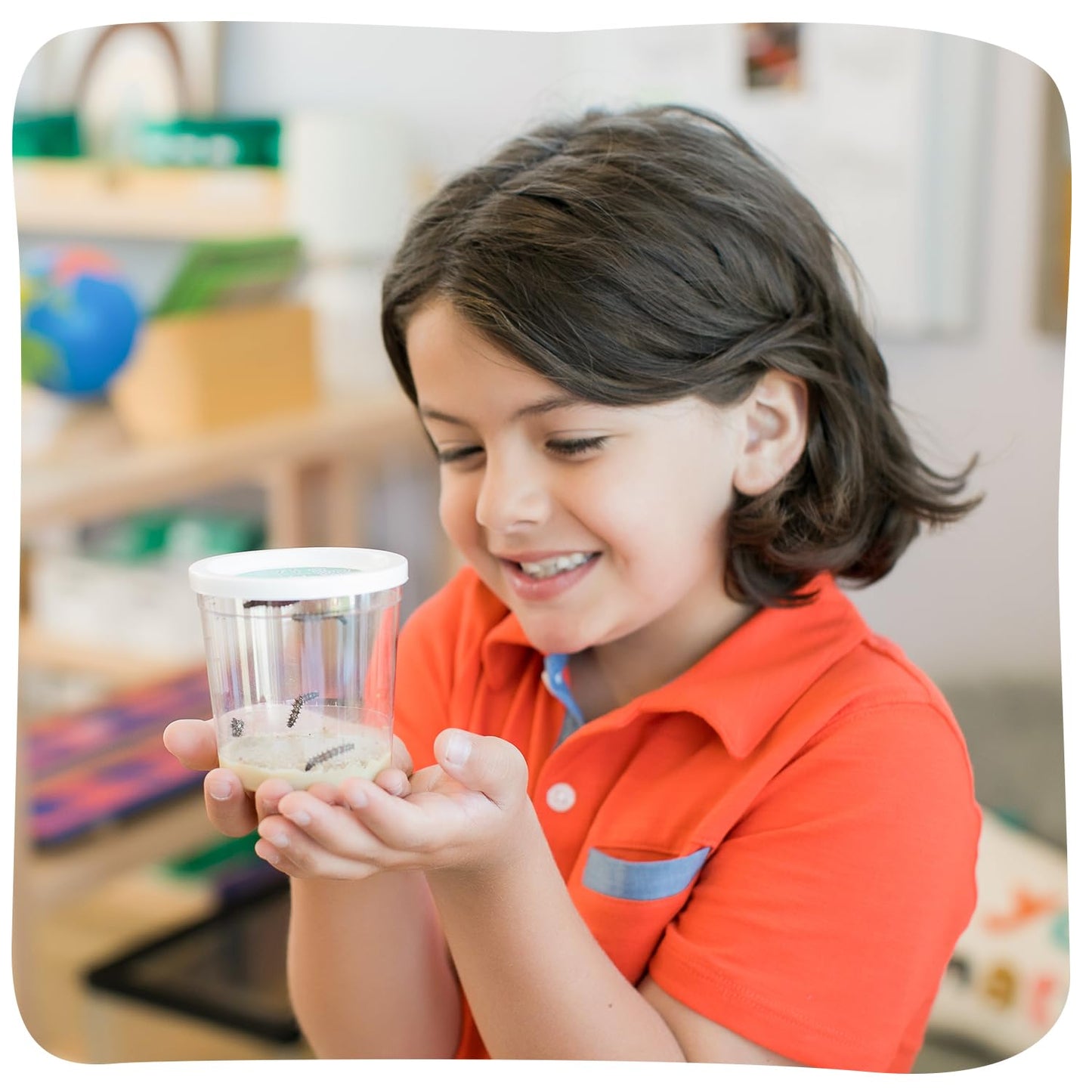 Insect Lore Cup of Caterpillars - 5 Live Painted Lady Caterpillars with Food - Refill for Butterfly Garden Kit - Stickers & Chrys-A-Lid Holding Log Included - STEM Learning Activity