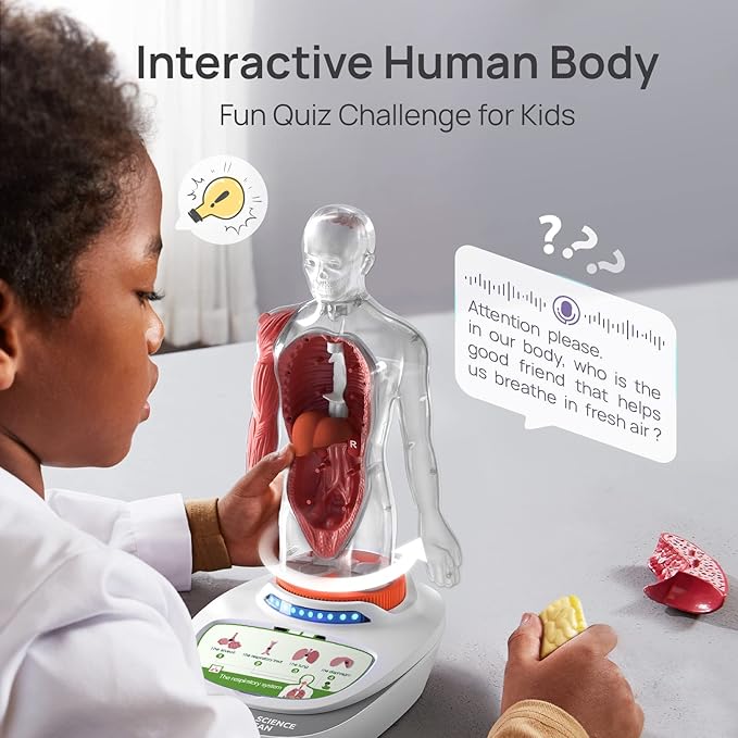 Science Can Human Body Model for Kids, Interactive Human Anatomy Talking Model - 11 Inch Realistic Anatomical Assembly Kit, 15PCS Removable Parts & Guide, Educational STEM Toys Gifts for Kids Aged 6+