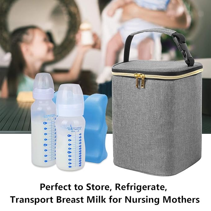 Teamoy Breastmilk Cooler Bag, Baby Bottles Bag for up to 4 Large 9 Ounce Bottles, Perfect for Working Mom Mother, (Bag ONLY), Gray