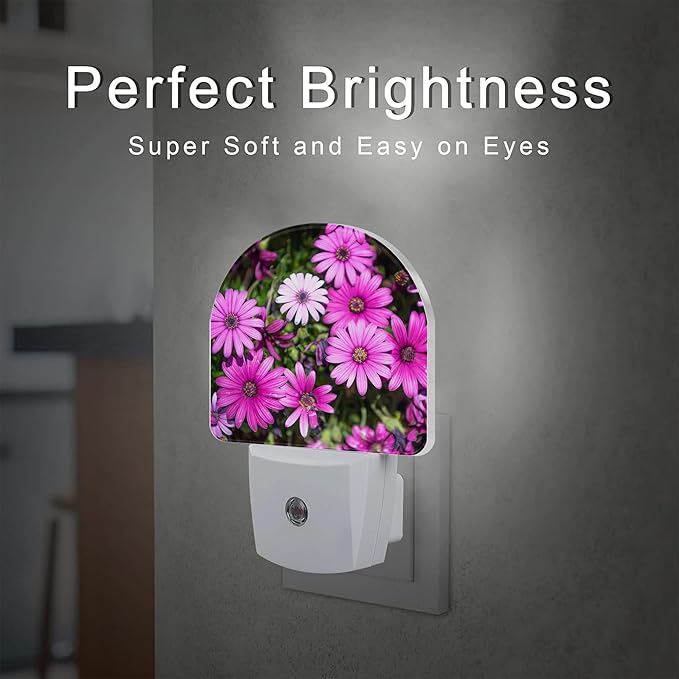 Purple Daisies Flowers Night Light, Beautiful Blooming Daisy Dusk to Dawn Night Light Plug in,0.5w Energy Saving Sleep Friendly NightLight for Kids Boys Girls Home Decor