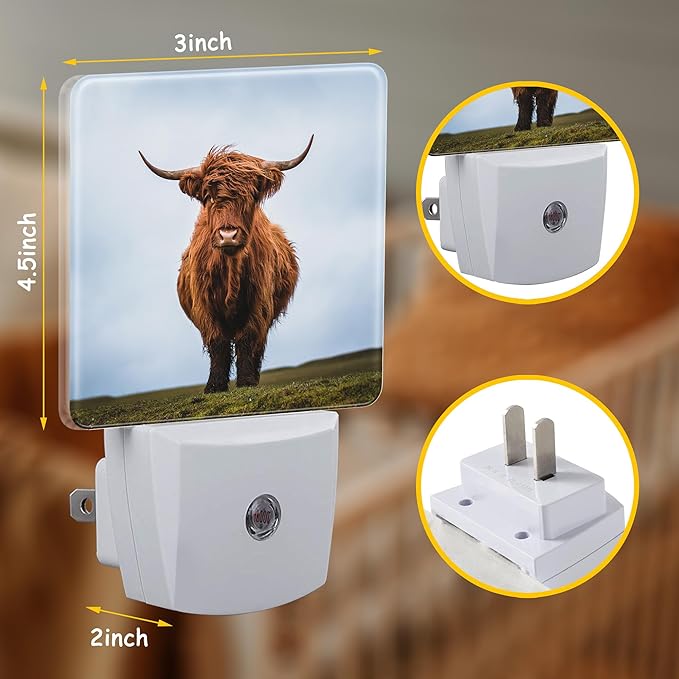 Scottish Highland Cows Night Light for Kids Girls Boys,LED Night Light Plug into Wall with Dusk to Dawn Sensor for Room Decor,Hallway,Kitchen,Bathroom,Nursery,Stairs