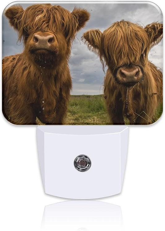 Highland Cows Plug in Night Lights, Cute Highland Cows Nightlight Plug Into Wall Dusk to Dawn Sensor for Kid Girls Boys Women Men Bedroom, Hallway, Kitchen, Bathroom, Stairs Decor
